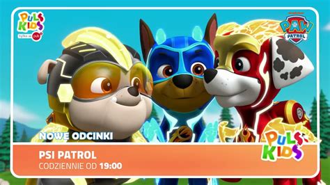nowe odcinki psiego patrolu.